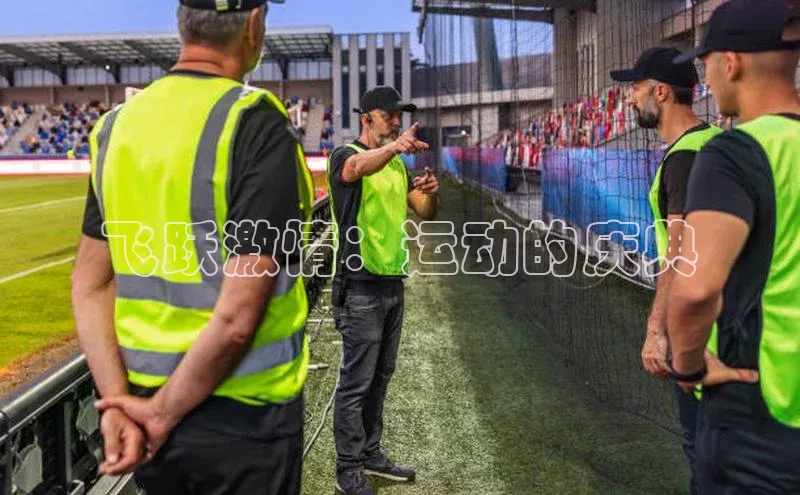 欧陆平台网站京东